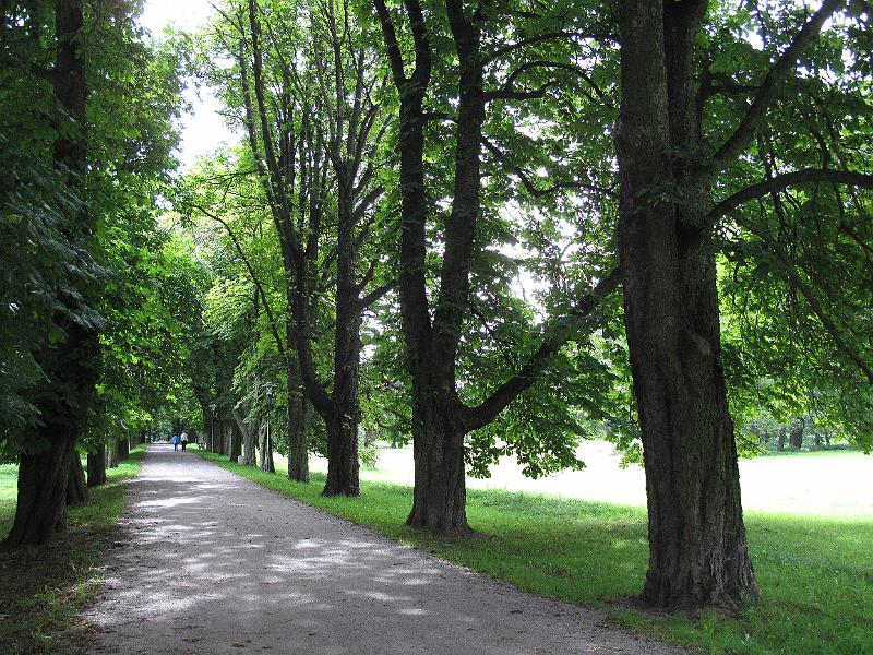 Waldenburg (85).JPG